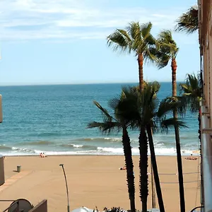 Jardin , Estepona España